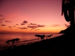 St Kitts sunset